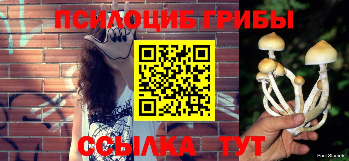 Ефремов  Псилоцибиновые грибы Psilocybine cubensis  закладки  Вход с VPN 
